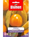 ALKEKENGI-FRUTTI COMMESTIB