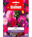 ASTRO BOUQUET IN MIX