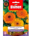 CALENDULA GRANDI FIORI MIX