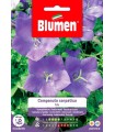 CAMPANULA CARPATICA BLU