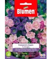 CAMPANULA DOPPIA IN MIX