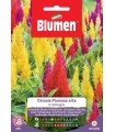 CELOSIA PLUMOSA MIX