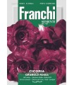 CICORIA ROSSA VR.TARDIVA DBO
