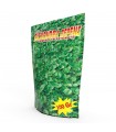 DICONDRA REPERNS 100 GR