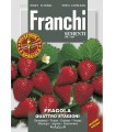 FRAGOLA 4 STAGIONI DBOS