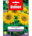 GIRASOLE BAMBINO