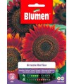GIRASOLE RED SUN