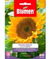 GIRASOLE SEMI EDIBILI