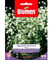 GYPSOPHILA PENICUL.BIANCA