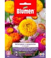HELICHRYSUM O SEMPREV.MIX