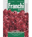 LATTUGA ROSSA RICCIOLINA DBO