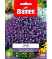 LOBELIA MISSIS CLIBRAN