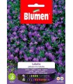 LOBELIA PALAZ.DI CRISTALLO
