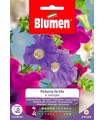 PETUNIA HYBR IN MIX