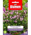 Semi Saponaria Ocymoides - Rosa da Bordura