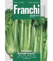 SEDANO VERDE PASCAL DBO