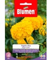 Semi Tagete Alto Doppio Giallo