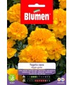 Semi Tagete Nano Doppio Giallo