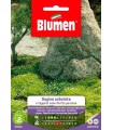 Semi Giardino Nano Fiorito con Sagina Subulata