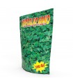 TRIFOGLIO REPENS NANO 100 GR
