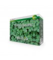 TRIFOGLIO REPENS NANO 500 GR