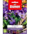 VIOLA CORNUTA BLU