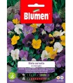 VIOLA CORNUTA IN MIX