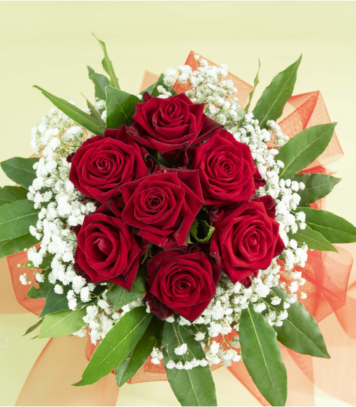 Coccolo - Bouquet di 7 rose rosse per festeggiare San Valentino