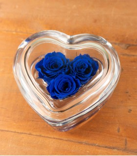 Blue Heart - Tris Rose Stabilizzate