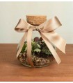 Bomboniera Mini Terrario