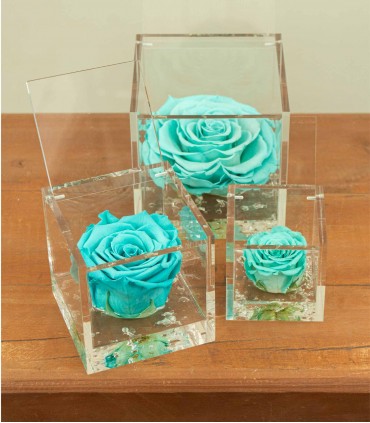 Flower Cube - Rosa Stabilizzata - Colore Tiffany