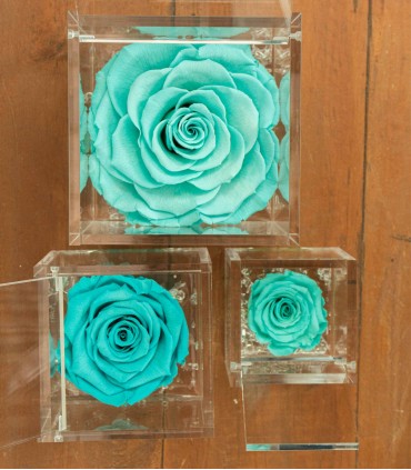 Flower Cube - Rosa Stabilizzata - Colore Tiffany