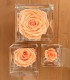 Flower Cube - Rosa Stabilizzata - Colore Pesca
