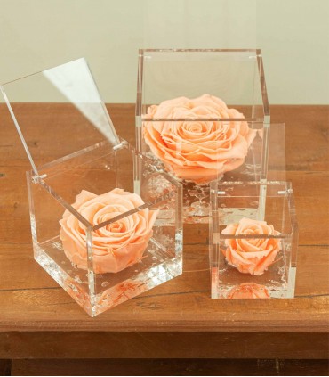 Flower Cube - Rosa Stabilizzata - Colore Pesca