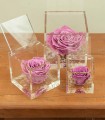 Flower Cube - Rosa Stabilizzata - Colore Mirtillo