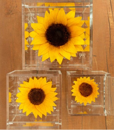 Flower Cube - Girasole Stabilizzato