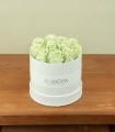 Flower Box - Rose Stabilizzate - Colore Verde