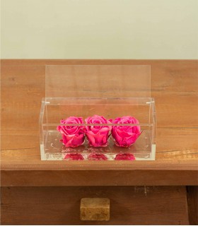 Trilogy - Rose Stabilizzate - Colore Fucsia