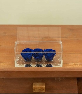 Trilogy - Rose Stabilizzate - Colore Blu Notte