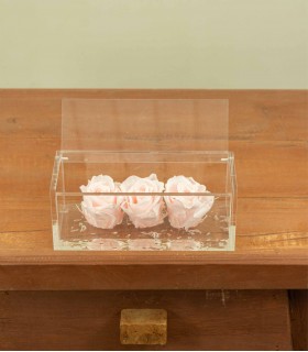 Trilogy - Rose Stabilizzate - Colore Rosa