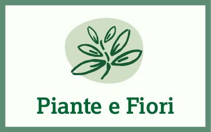 Arcilla Expandida 11L - Agroflor Flores y plantas en Narón