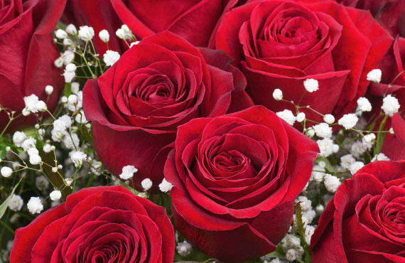 Regalo San Valentino - Rose - Fiori Stabilizzati - Fioreria Rosàflor  Bassano del Grappa